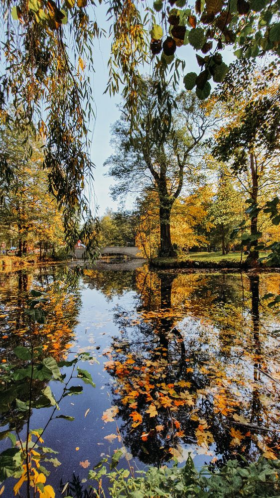 Photograph by Liana Lauta