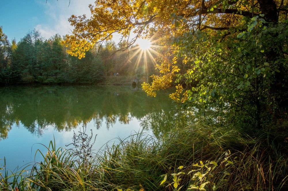 Photograph by Елена