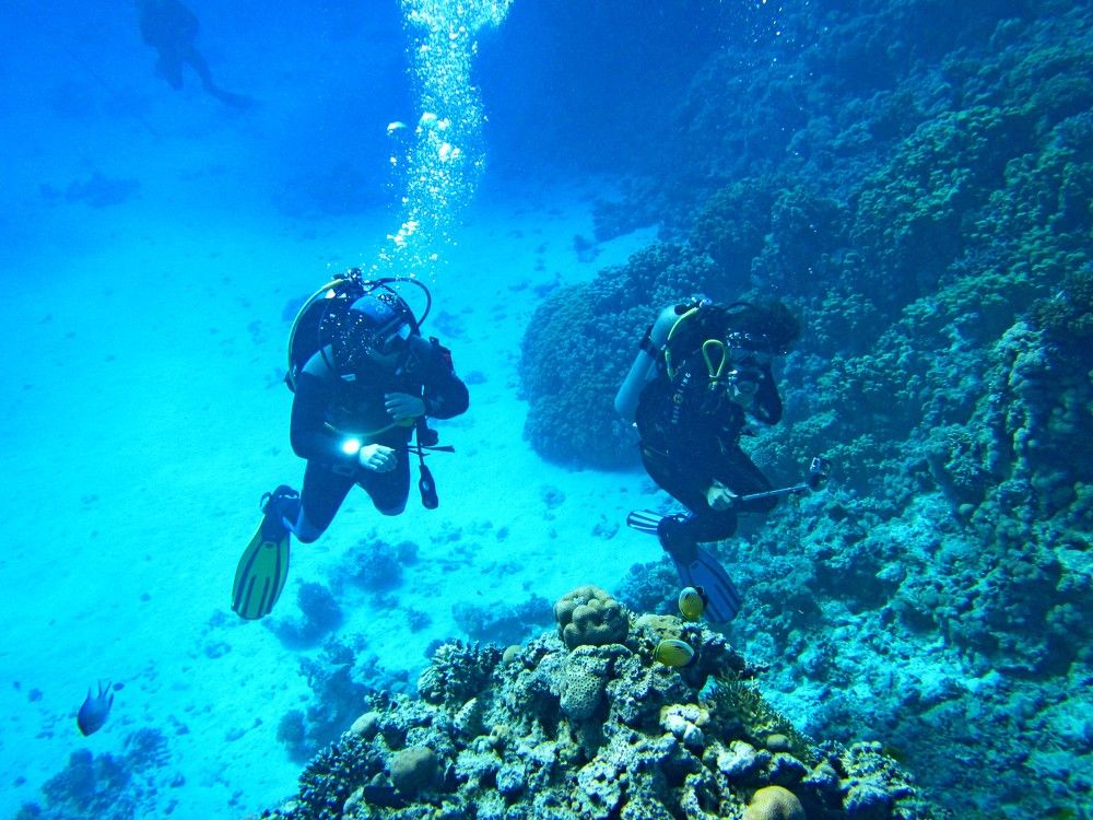 Photograph by Михаил Строев