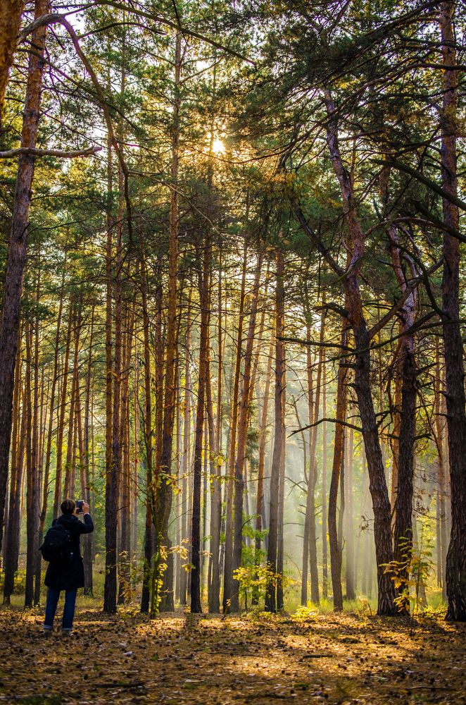 Photograph by Евгений Каримов