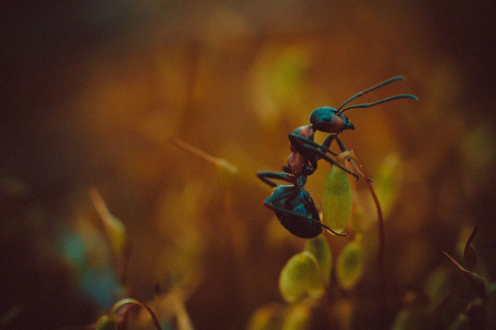 Photograph by Андрей Семенников