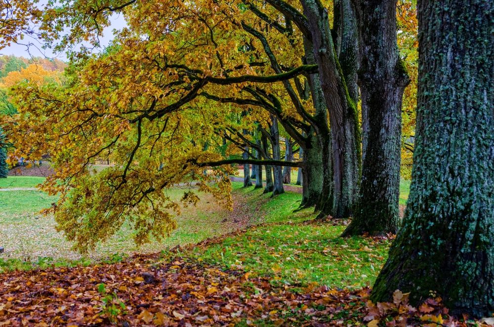 Фотография автора Юрий Макаров