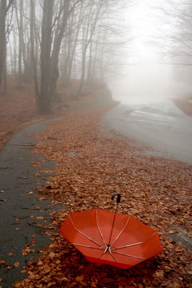 Photograph by Claudio Bonaccorsi