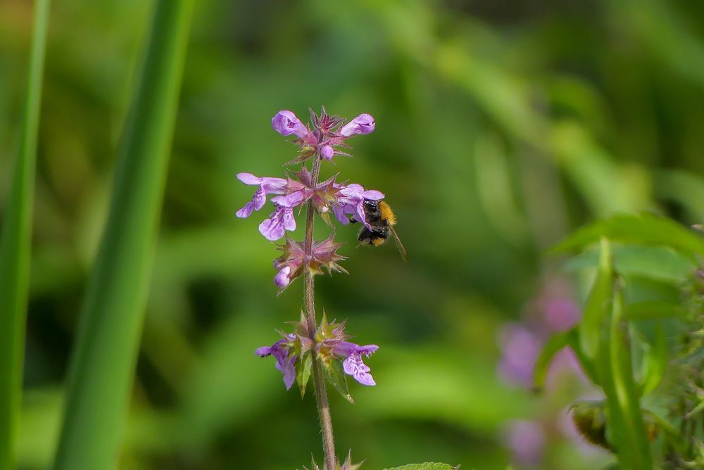 Photograph by Ян Адамсон