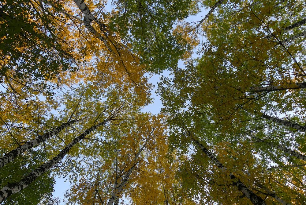 Photograph by Ян Адамсон