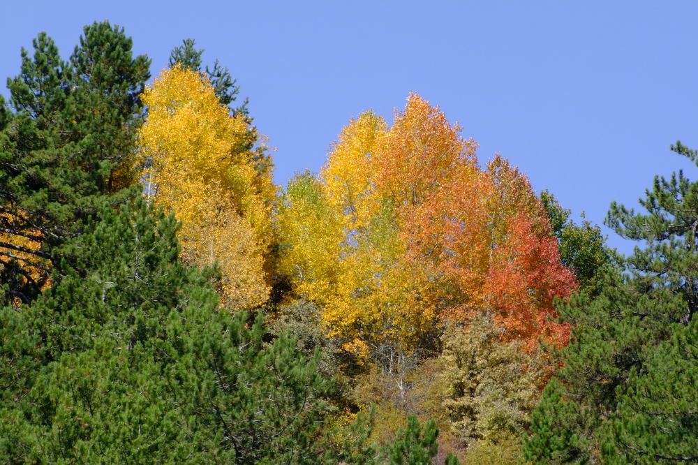 Photograph by Cengiz Yalcin