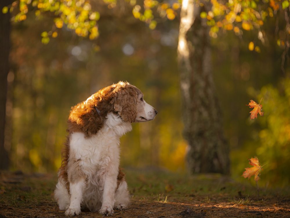 Photograph by Liudmila Drake