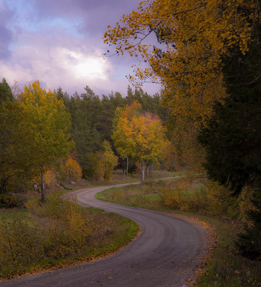 Photograph by Liudmila Drake