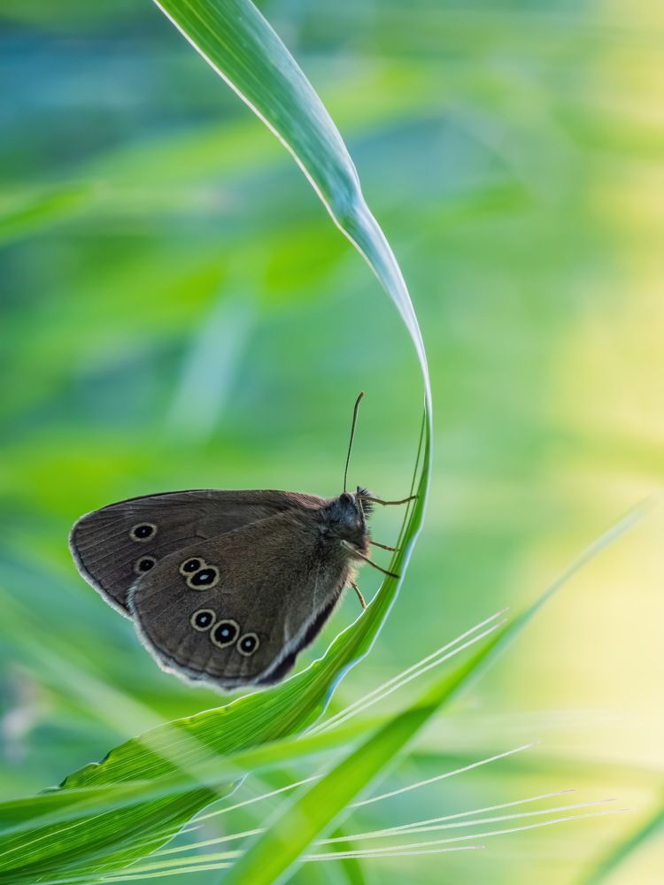 Photograph by Дмитрий
