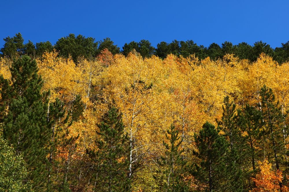 Photograph by Cengiz Yalcin