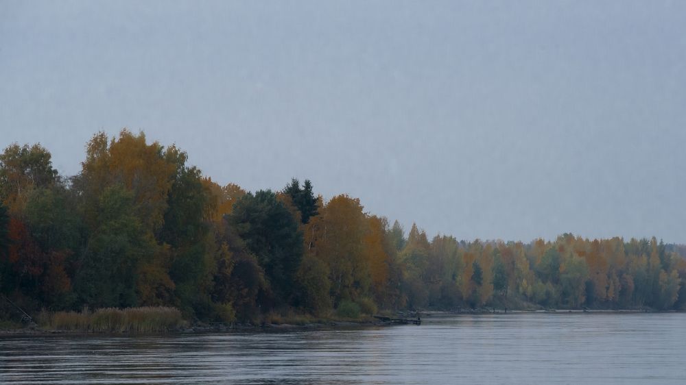 Нева осенью