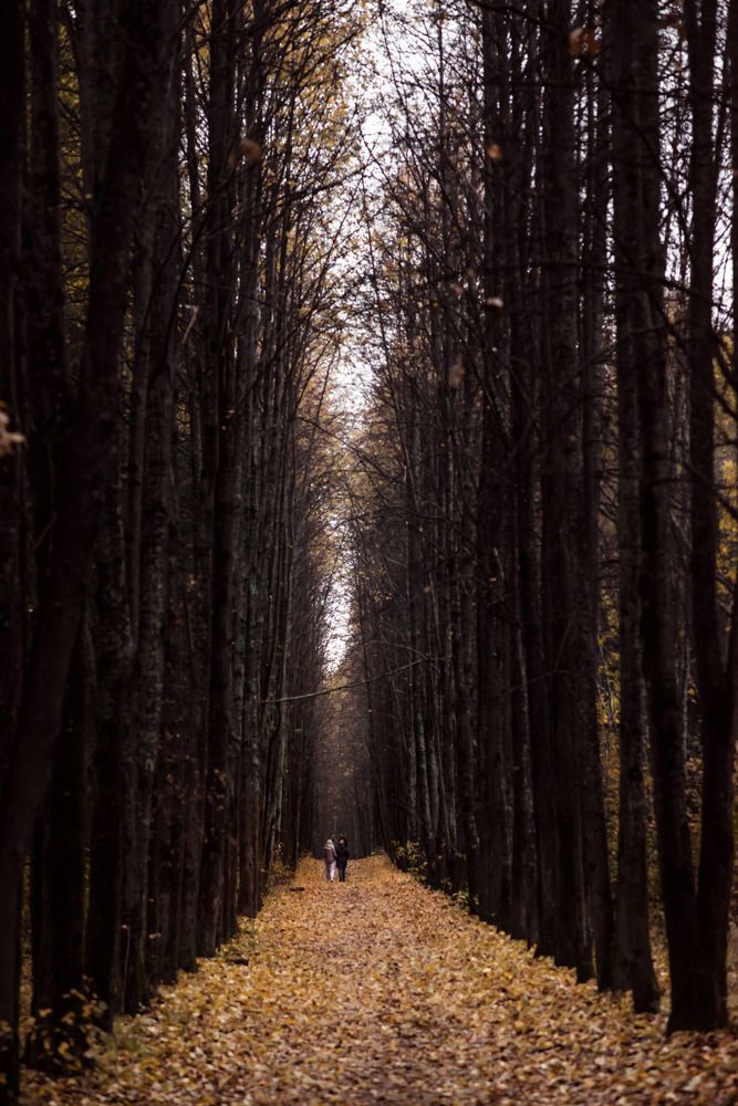 Photograph by Поздеев Сергей