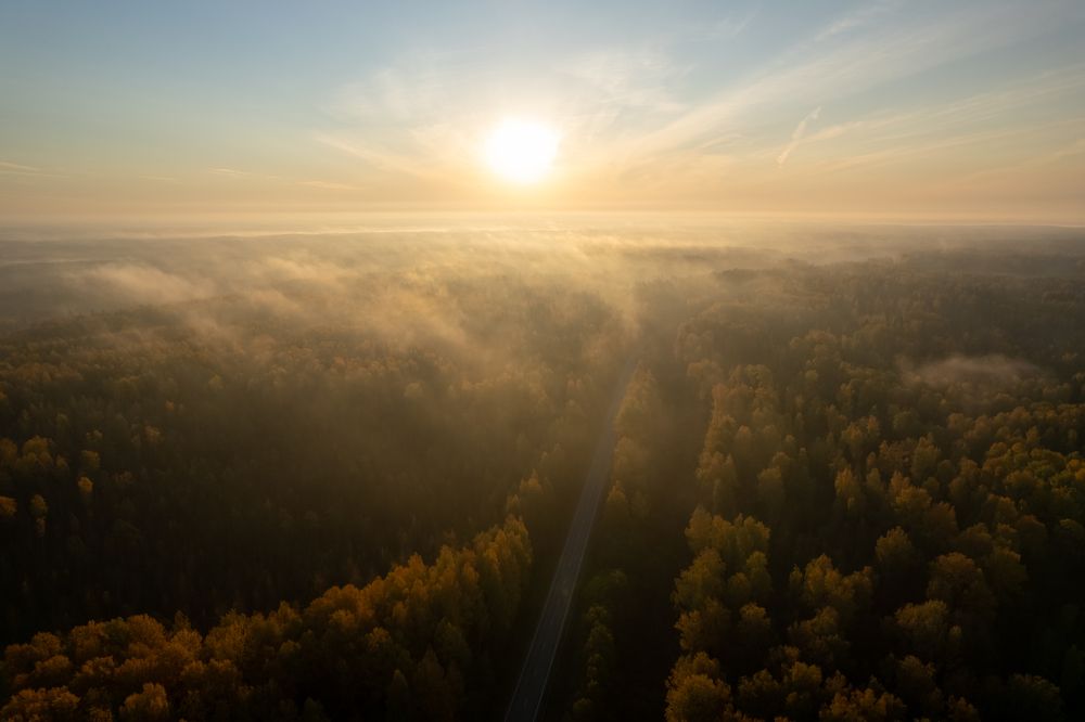 Photograph by Евгений Васильев