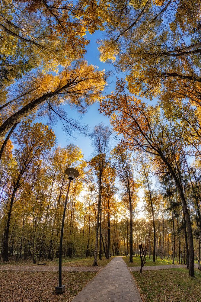 Photograph by Симонян Сергей