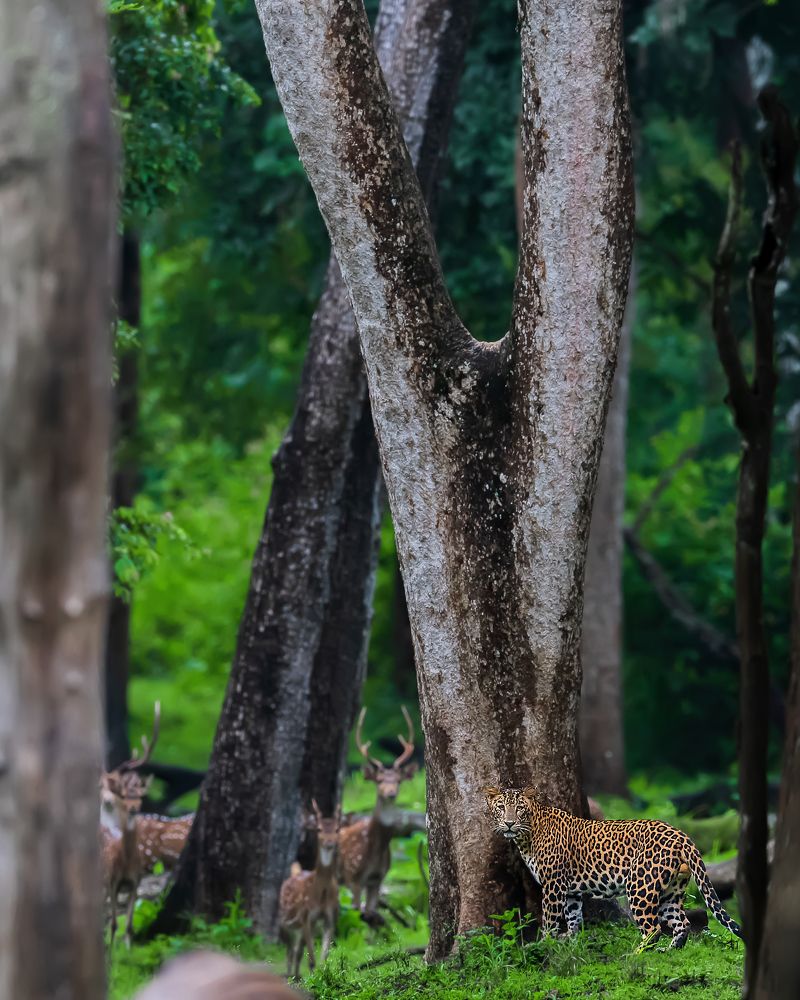 Photograph by Amal George