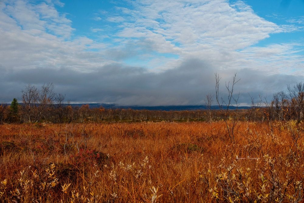 Photograph by Марина Зборацкая