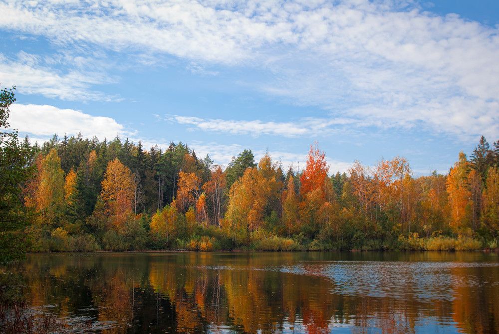 Photograph by Диана Бородзе