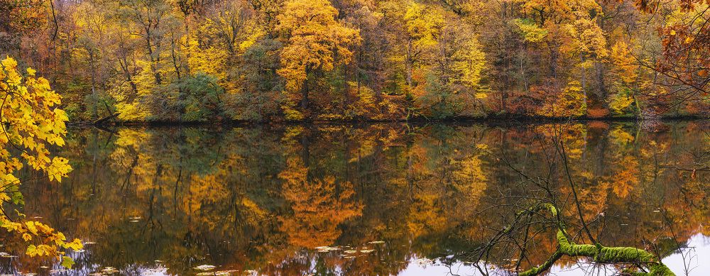 Photograph by Леонид Якутин