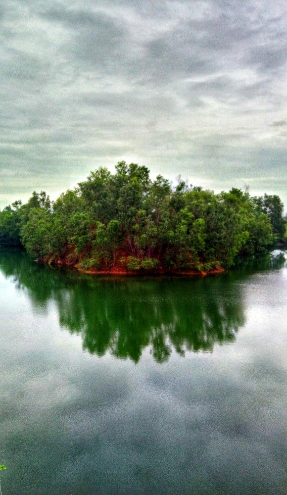 The Mysterious Island