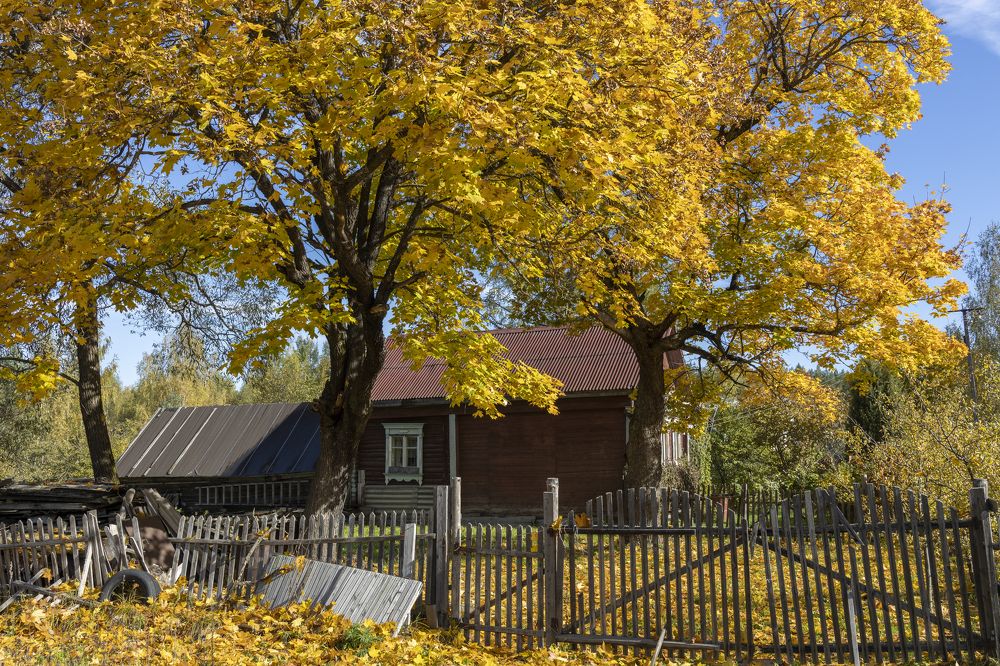 Photograph by Сергей