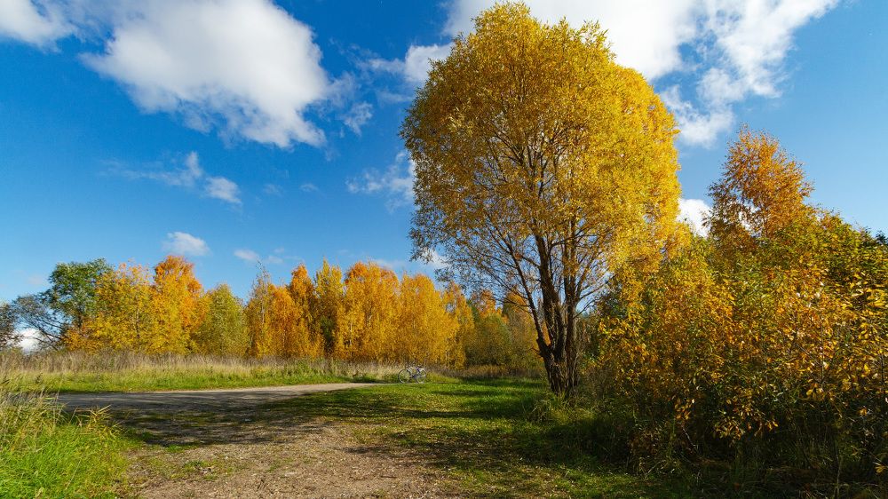 Photograph by Алексей Думин