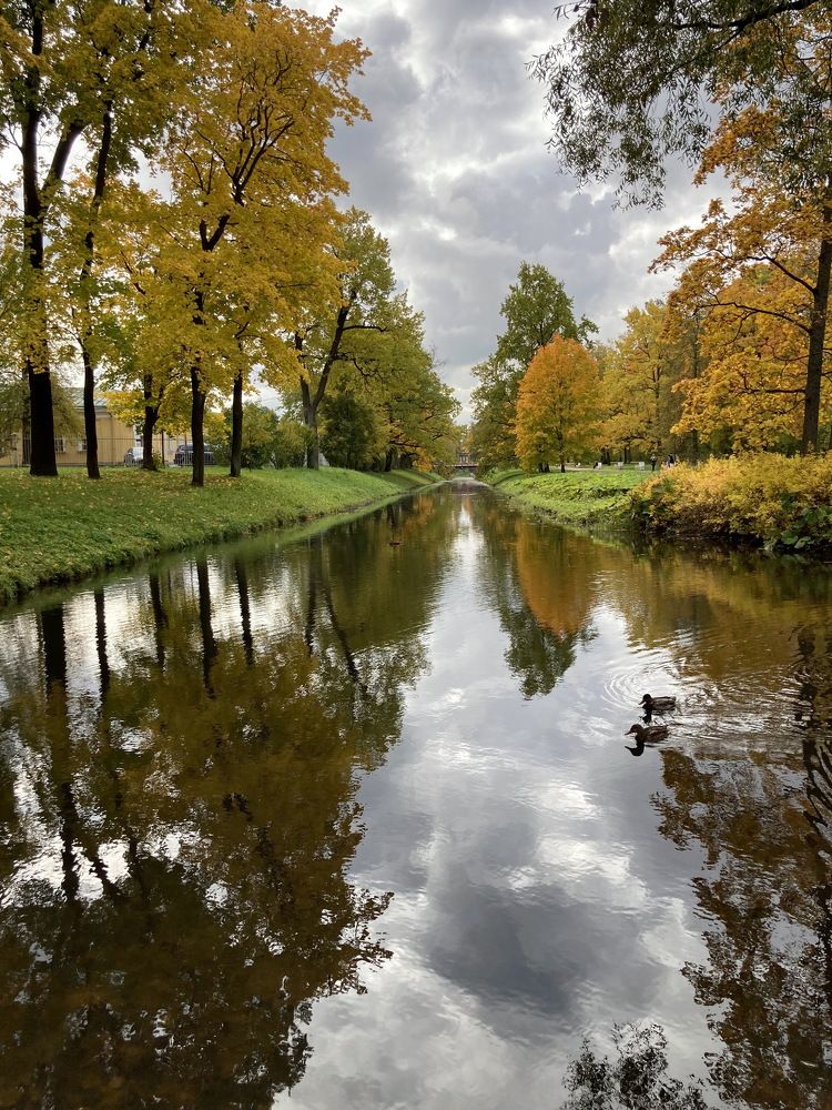 Про осень и её отражения