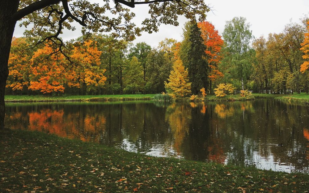 Осеннее разноцветье