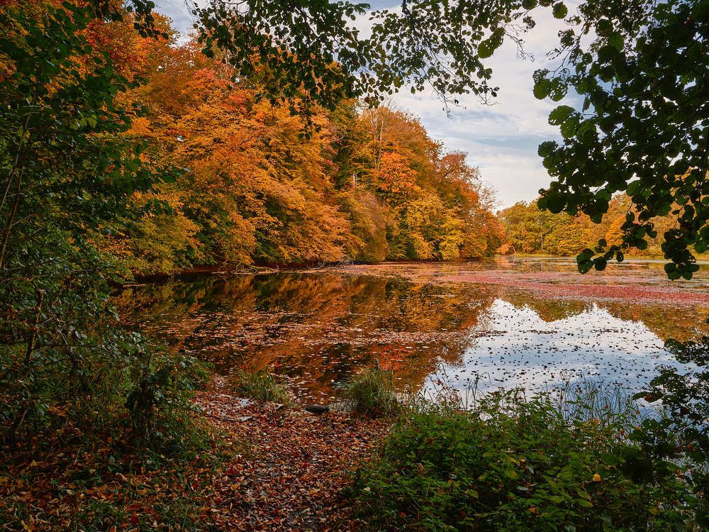 Photograph by Леонид Якутин