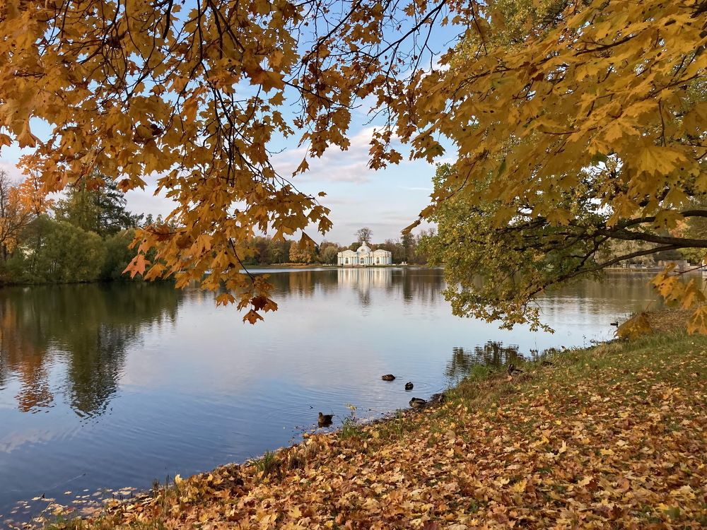 Осень в Царском селе