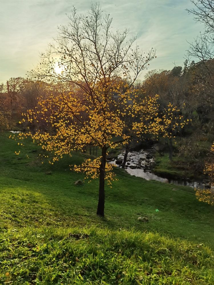 Photograph by Татьяна С