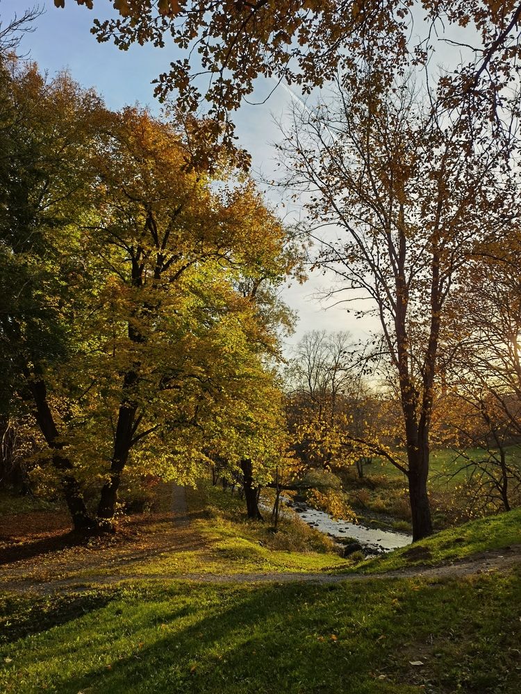 Photograph by Татьяна С