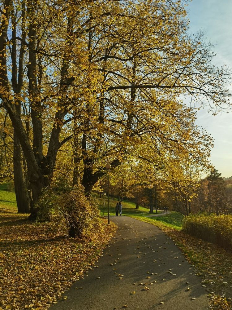 Photograph by Татьяна С