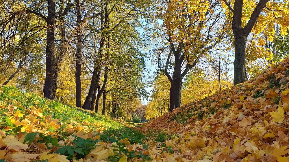 Photograph by Евгений Устинов