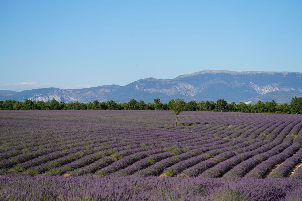 Фотография автора Владимир Хащанский