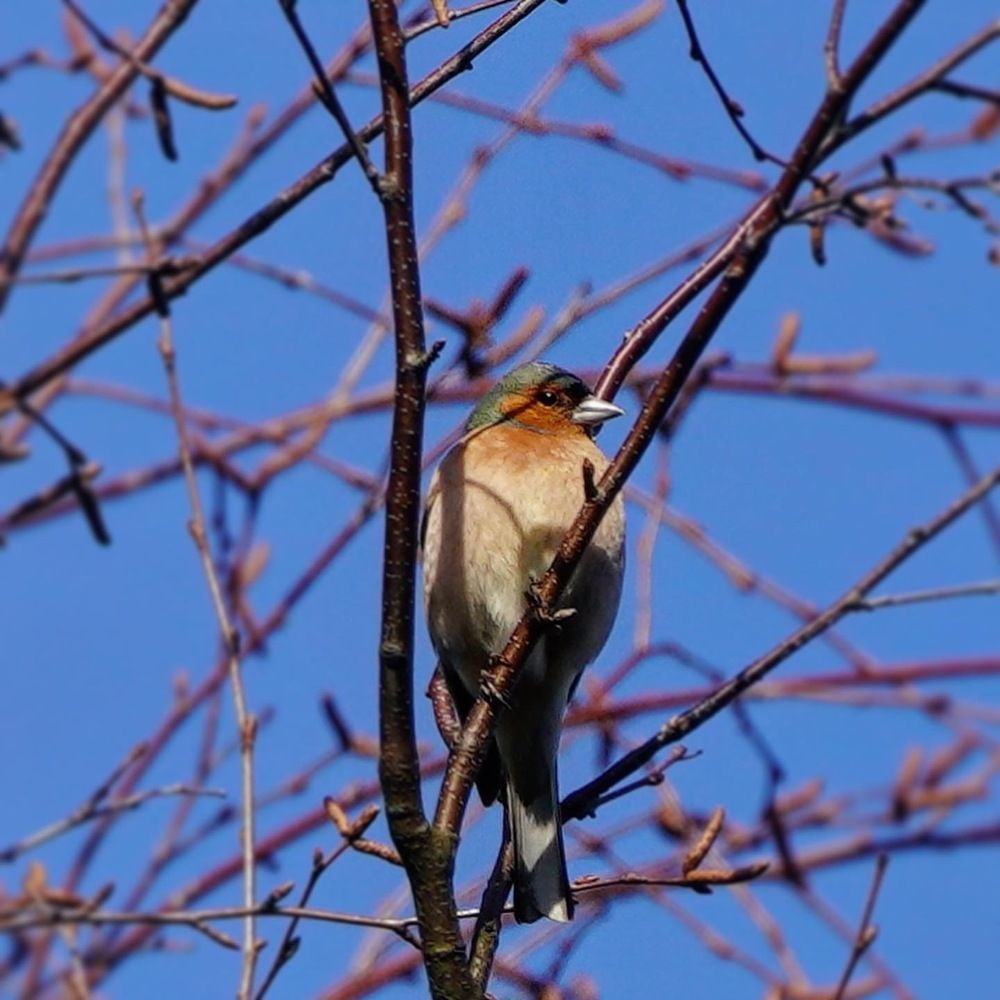 Фотография автора Владимир Хащанский