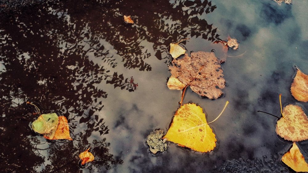 Photograph by Алёна Бондаренко