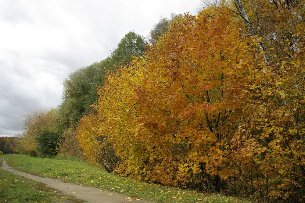 Photograph by Надежда Каравайцева