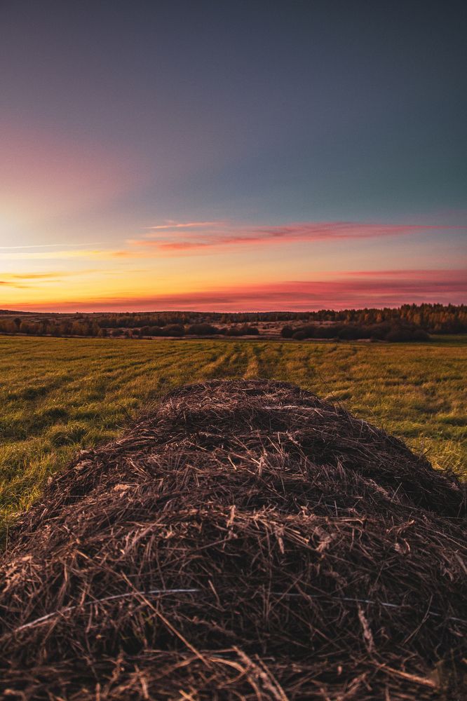 Photograph by Фёдор Викторов