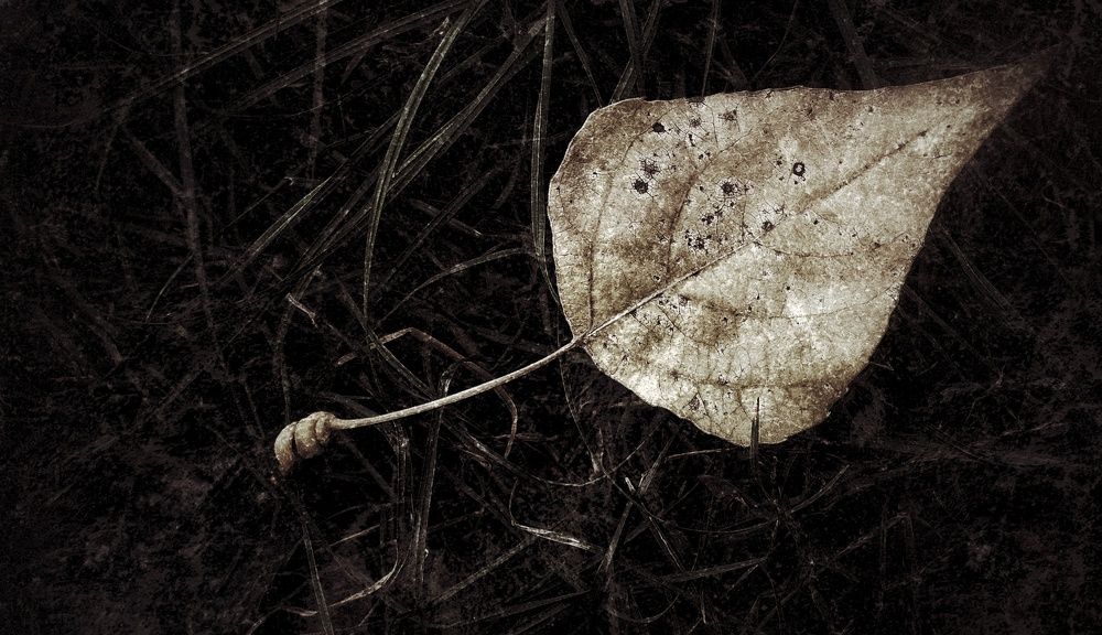 Photograph by Алёна Бондаренко