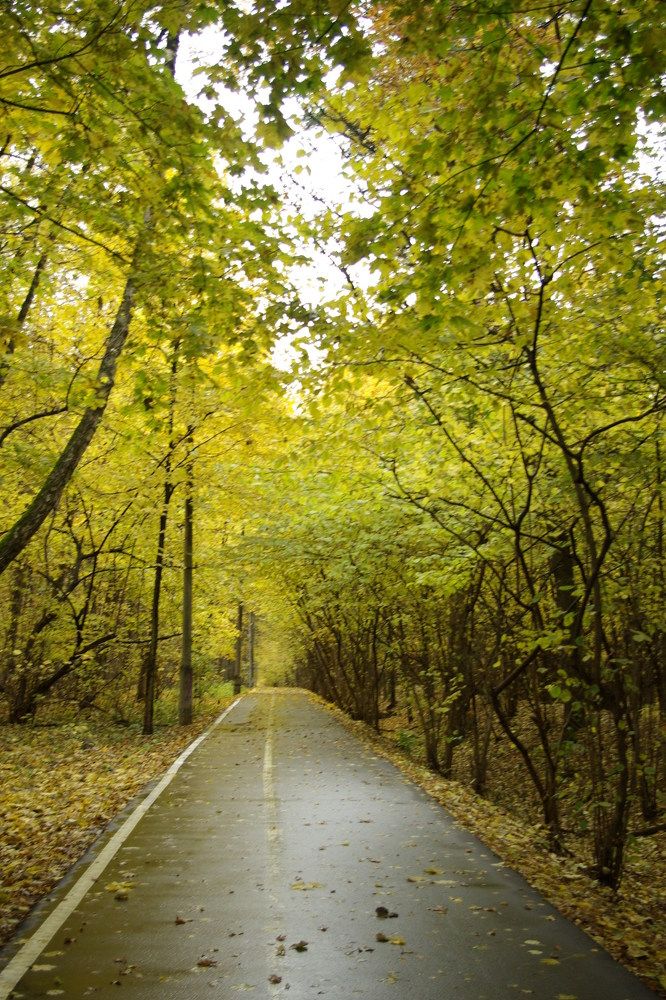 Photograph by Надежда Каравайцева