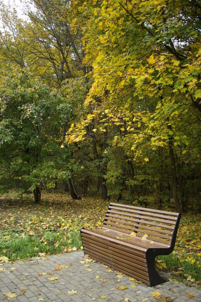 Photograph by Надежда Каравайцева