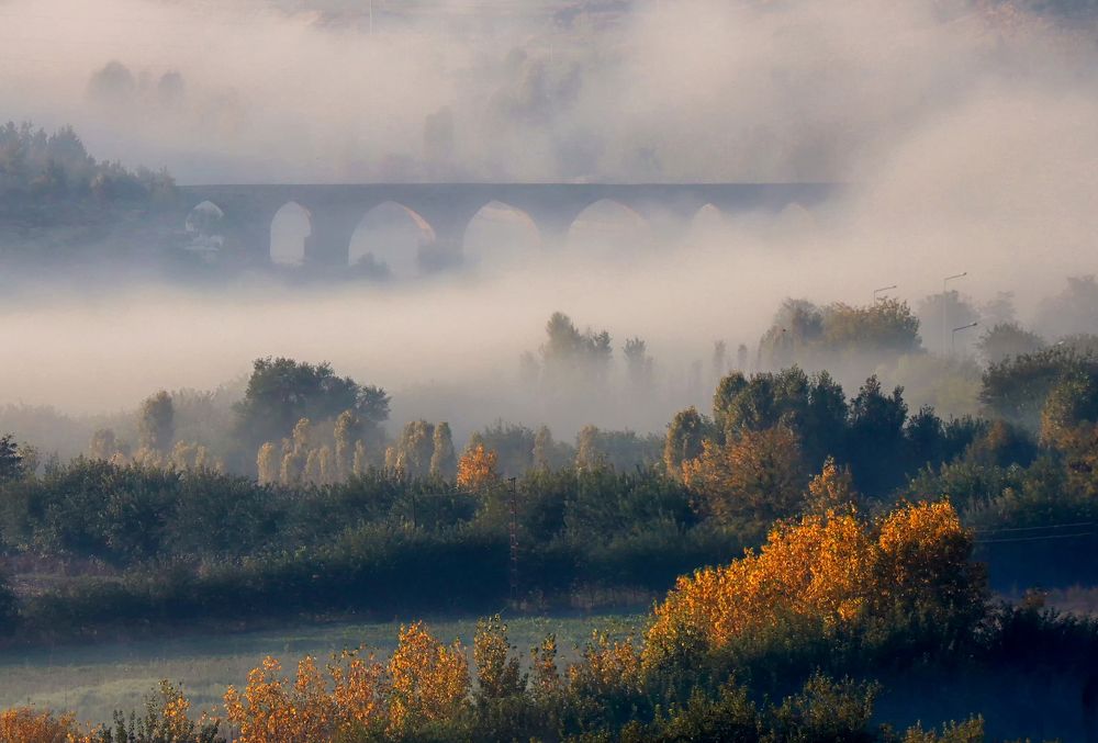 Photograph by Mehmet Kılıcoğlu