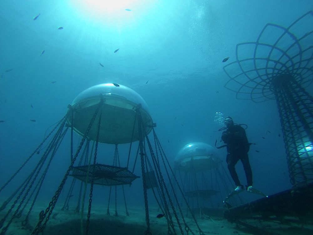 Photograph by Pierluigi Peis