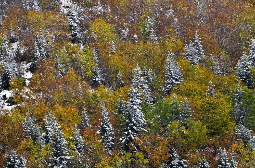 Photograph by Murat TOPAL