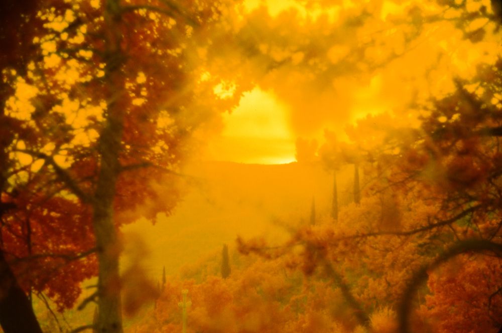 Photograph by David Spiel