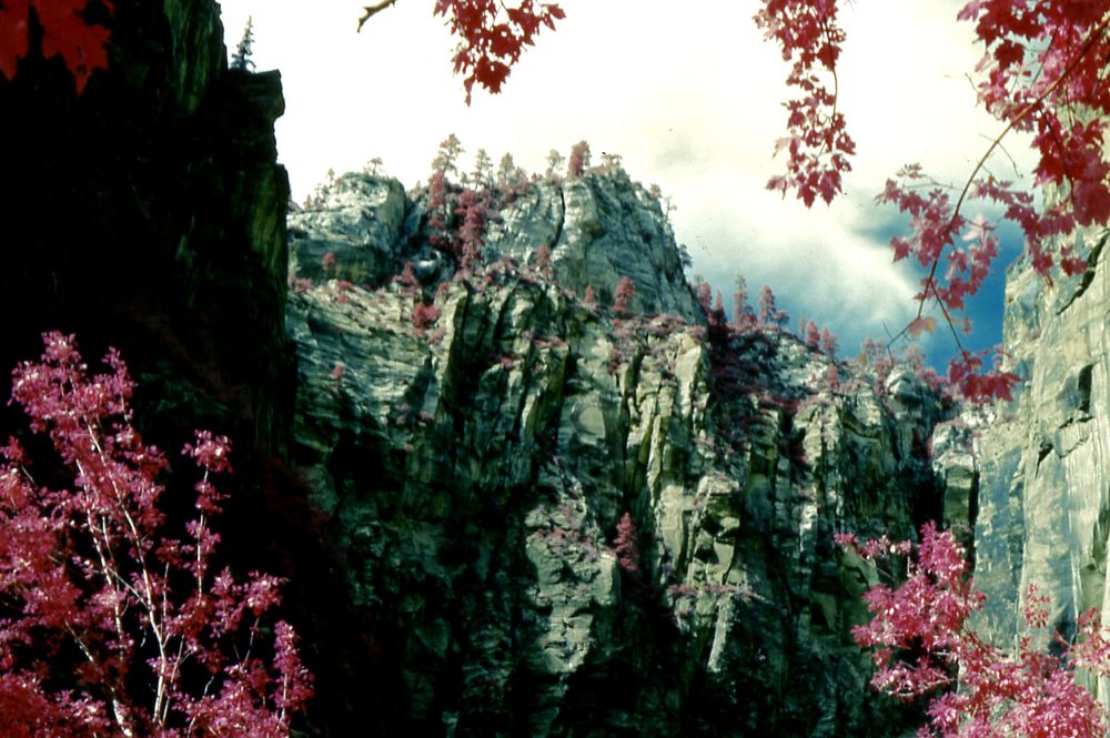 Photograph by David Spiel