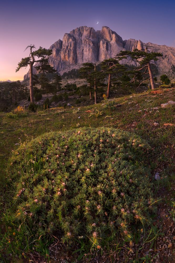 Photograph by Mehmet Kılınç