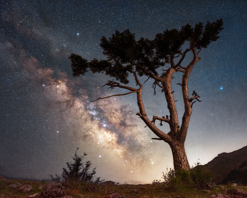 Photograph by Mehmet Kılınç