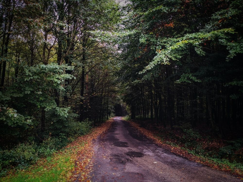 Photograph by Александр Федоренко