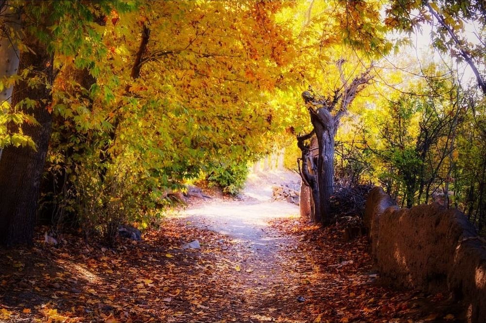 Фотография автора Mojtaba Gitinezhad